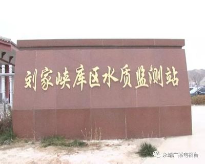 新闻|我县采取积极措施解决百合销售难题