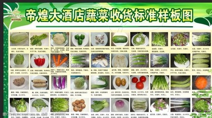 客栈——古典与现代交融的住宿美学